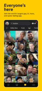 Grindr - Gay Dating & Chat 25.10.0 screenshot 1