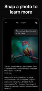 Grok AI 0.2.9 screenshot 3