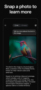 Grok - AI Chat & Video 1.0.38-release.00 screenshot 3
