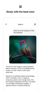 Grok AI 0.5.21 screenshot 5