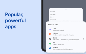 Google Chat 2025.06.15.771788943.Release screenshot 23