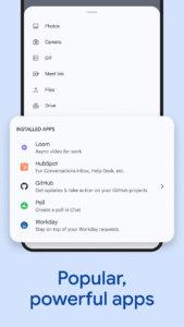 Google Chat 2025.06.15.771788943.Release screenshot 7