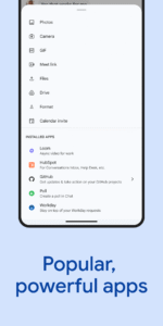 Google Chat 2025.06.08.770350133.Release screenshot 6