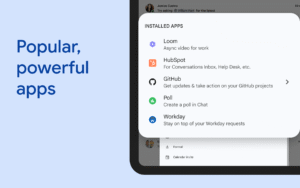Google Chat 2025.06.01.767697775.Release screenshot 14
