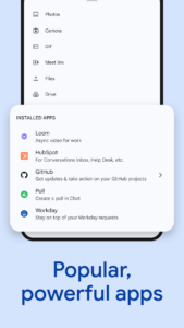 Google Chat 2025.04.20.750748591.Release screenshot 7