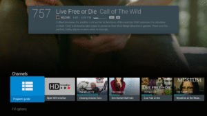 HDHomeRun (Amazon Appstore Fire Tablet version) 20240801 20250614 screenshot 17