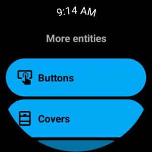 Home Assistant (Android Automotive) 2025.5.1 screenshot 11