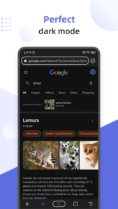 Lemur Browser - extensions 2.7.3.010 screenshot 1