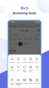 Lemur Browser - extensions 2.7.3.010 screenshot 4
