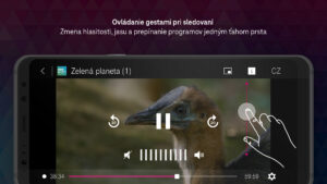 Magio TV (Android TV) 3.5.3 screenshot 6