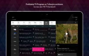 Magio TV (Android TV) 3.5.3 screenshot 8