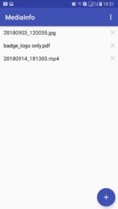 MediaInfo 25.04 screenshot 2