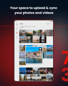 MEGA 15.9.1(251490829)(fb38290e62) screenshot 15