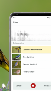 Merlin Bird ID by Cornell Lab 3.7 screenshot 3