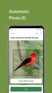 Merlin Bird ID by Cornell Lab 3.7 screenshot 6
