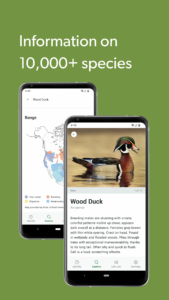 Merlin Bird ID by Cornell Lab 3.7 screenshot 8