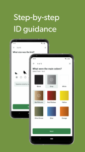 Merlin Bird ID by Cornell Lab 3.6.1 screenshot 5