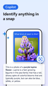 Microsoft Edge Canary 139.0.3378.0 screenshot 4