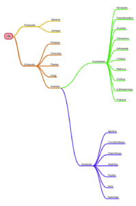 miMind - Easy Mind Mapping 8.39 screenshot 8