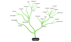 miMind - Easy Mind Mapping 8.39 screenshot 2