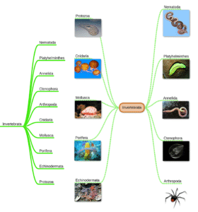 miMind - Easy Mind Mapping 8.39 screenshot 14