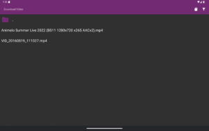 mpv-android 2024-08-20-release (nodpi) (Android 2025-04-21-release-oldapi screenshot 6