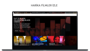 MUBI: Curated Cinema 70.0 screenshot 13