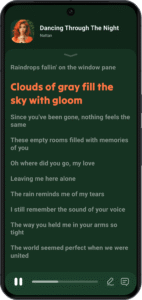 Lark Player:Music Player & MP3 6.24.6 screenshot 3