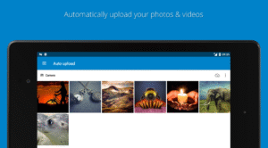 Nextcloud (f-droid version) 3.32.0 screenshot 11