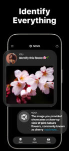 AI Chatbot - Nova screenshot 14