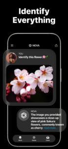 AI Chatbot - Nova 3.9.9 screenshot 6
