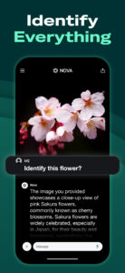 AI Chatbot - Nova 3.9.6 screenshot 6
