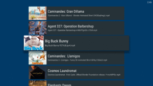 Nova Video Player 6.4.3-20250521.1920 screenshot 15