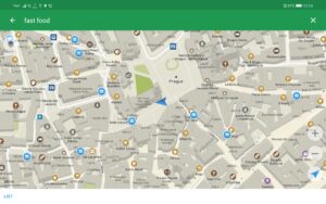 Organic Maps Offline Hike Bike Trails & Navigation (f-droid version) 2025.06.13-3-Google screenshot 11