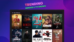 OTTplay: Watch Movies & Shows 0.37.52 screenshot 22
