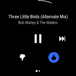 Pandora - Music & Podcasts 2504.1.1 screenshot 14