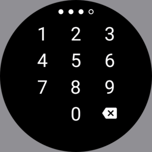 Password Manager SafeInCloud 2 (Wear OS) 25.2.11 screenshot 16