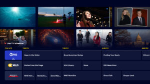 PBS: TV Shows & Documentaries screenshot 21