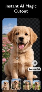 Photo Editor - Polish 1.632.210 screenshot 2