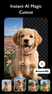 Photo Editor - Polish 1.643.215 screenshot 4