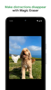 Google Photos 7.9.0.702546637 screenshot 3