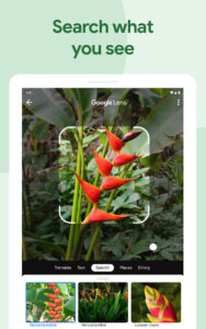 Google Photos 7.33.0.772203349 screenshot 10
