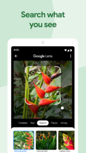 Google Photos 7.32.0.765953717 screenshot 3