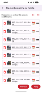 Batch Rename and Organize 7.8.0 screenshot 5