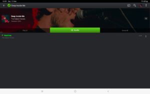 PlayerPro Music Player 5.38 screenshot 12
