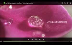 PlayerPro Music Player 5.38 screenshot 14