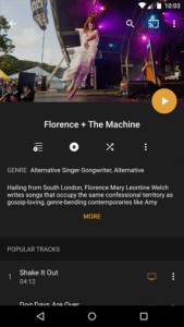 Plex Media Server 1.41.8.9834 (smb) screenshot 5