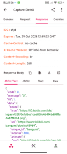 ProxyPin - Open Source Capture 1.1.9 screenshot 2