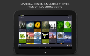 Pulsar Music Player 1.13.4 screenshot 11