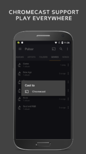 Pulsar Music Player 1.13.4 screenshot 7